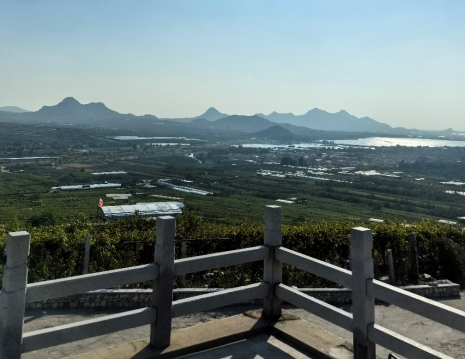 http://www.lendable.com.cn平度大澤山葡萄園引進(jìn)萊恩德土壤肥料檢測(cè)儀， 輕松掌握土壤營(yíng)養(yǎng)